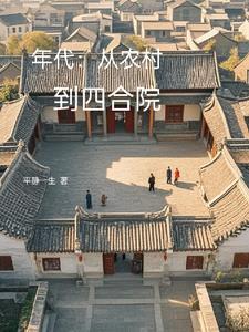年代从农村到四合院王军3Q读书