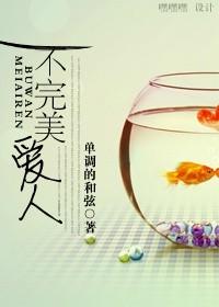 不完美爱人免费在线阅读
